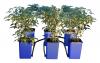 Flow-N-Gro Expansion Kit (702785)