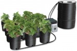 Ebb & Gro - 12 Grow Site System w/55 Gallon Reservoir - C.A.P.