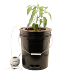 Flo-n-Gro - Gro Momma Bubbler Bucket