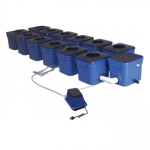 Current Culture - Under Current 12 (743015)