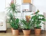 Claber Oasis Self Watering System (708775) Claber Oasis Self Watering System