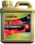 Dutch Master - Gold Flower "B"  1 Liter (719263)