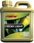 Dutch Master - Gold Liquid Light 1 Liter (719277)