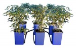 Flow-N-Gro Expansion Kit (702785)
