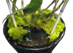 Global Garden Friends - Ultimate Plant Cage (24/Case) (740200)