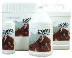 Roots Organics - Roots Ancient Amber Gallons 4/Cs (715070)